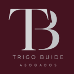 Luis Trigo Buide